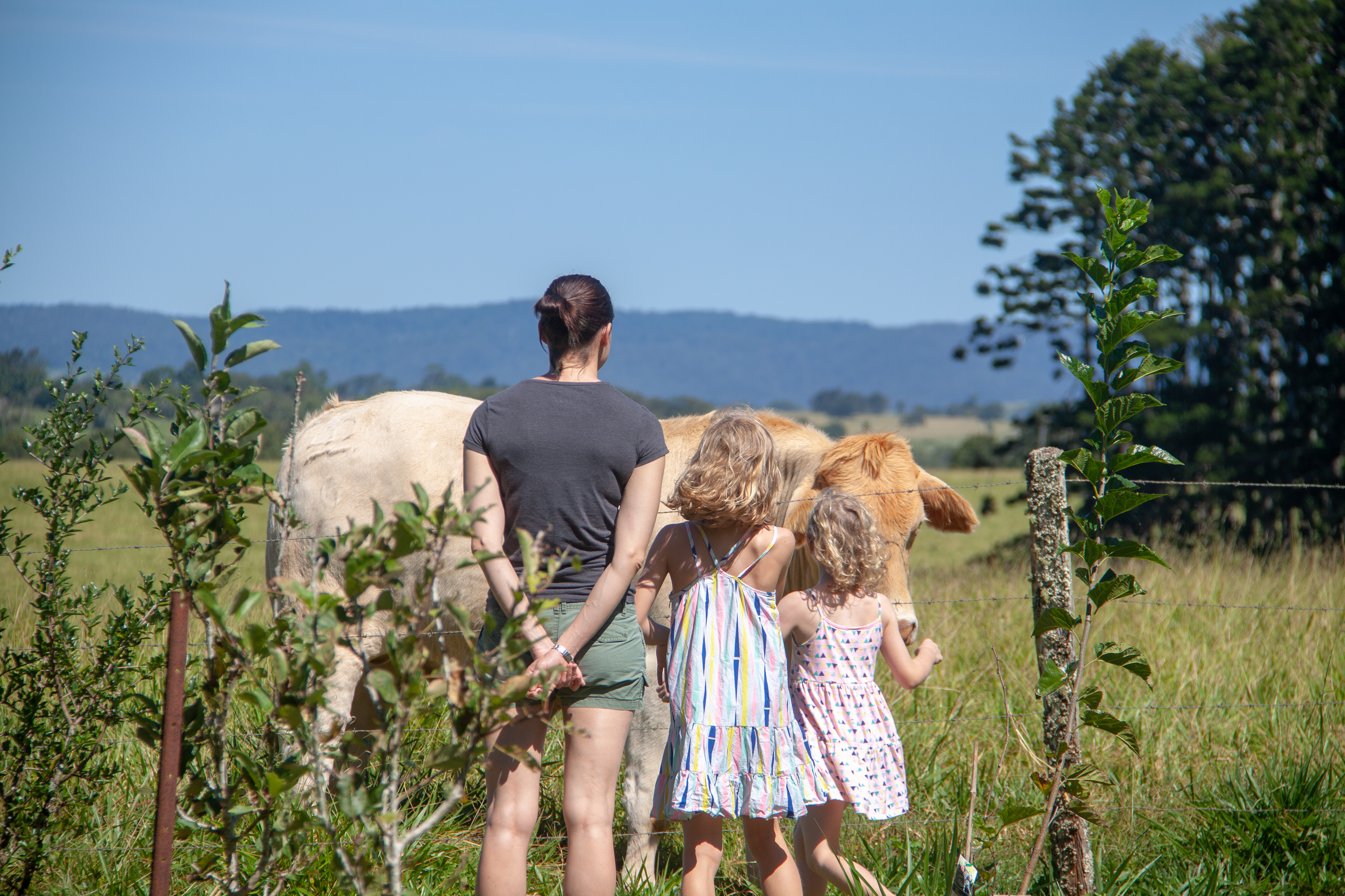 Kureen, Aus (Nov 2018)